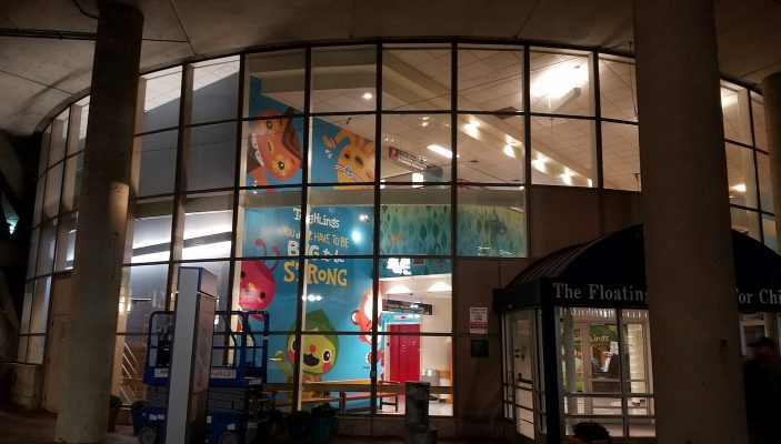 20161106_183847_resized_1